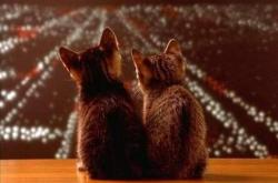 开云在线直播-铁血与优雅的交响，从马竞硬仗到莫德里奇的欧冠之夜