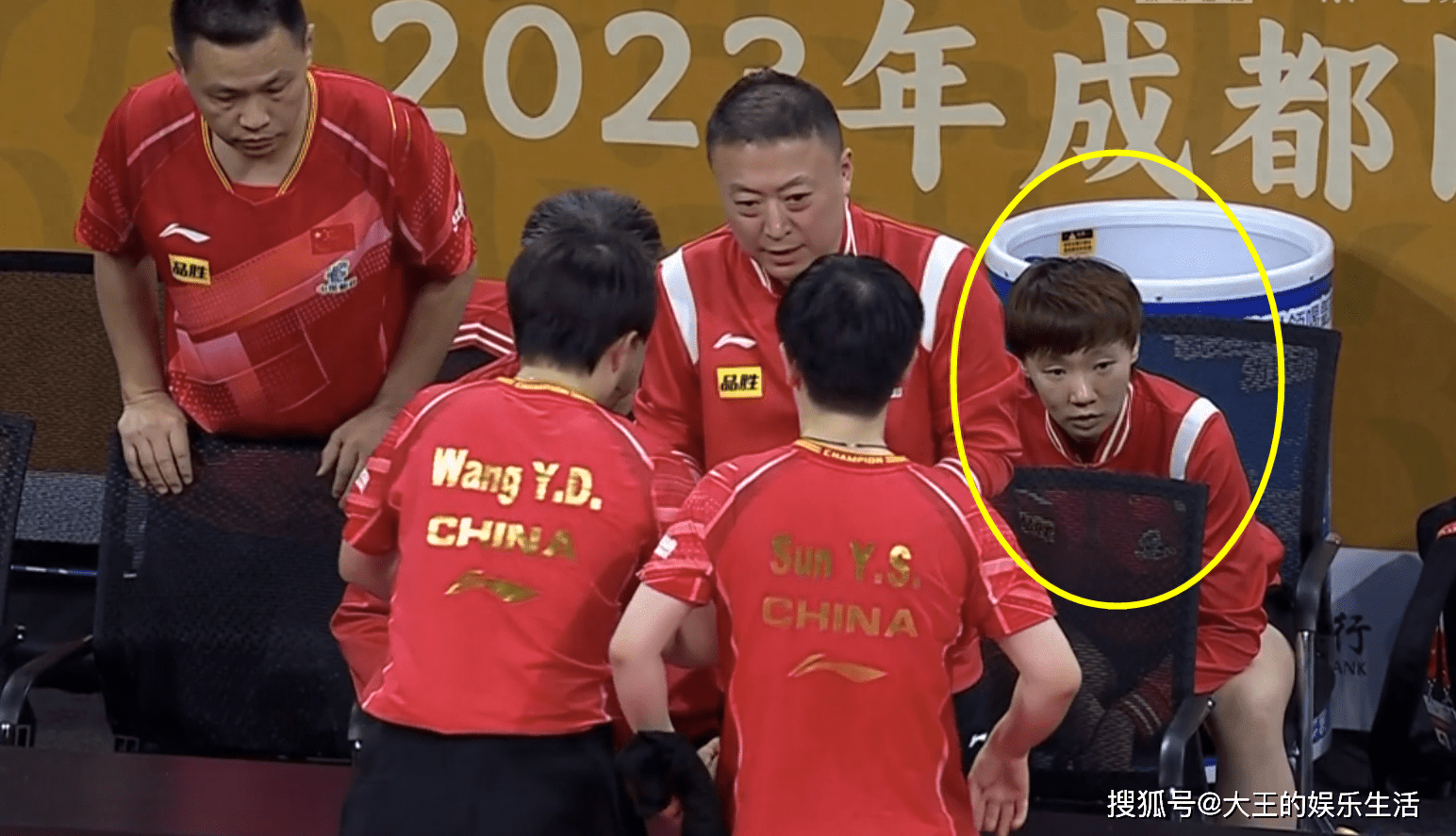 印尼羽毛球队鏖战韩国羽毛球队，马琳惊艳世界的简单介绍