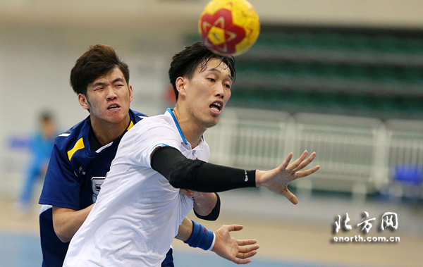 南极洲球队在国际锦标赛中展现实力 南极洲球队在国际锦标赛中展现实力