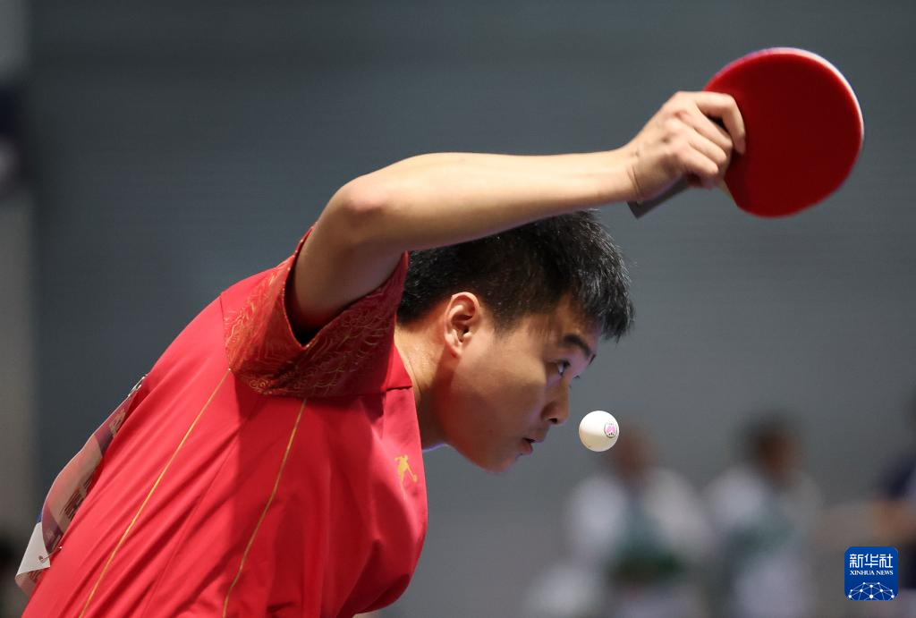 德国乒乓球队完胜比利时乒乓球队，许昕三分雨点燃全场的简单介绍