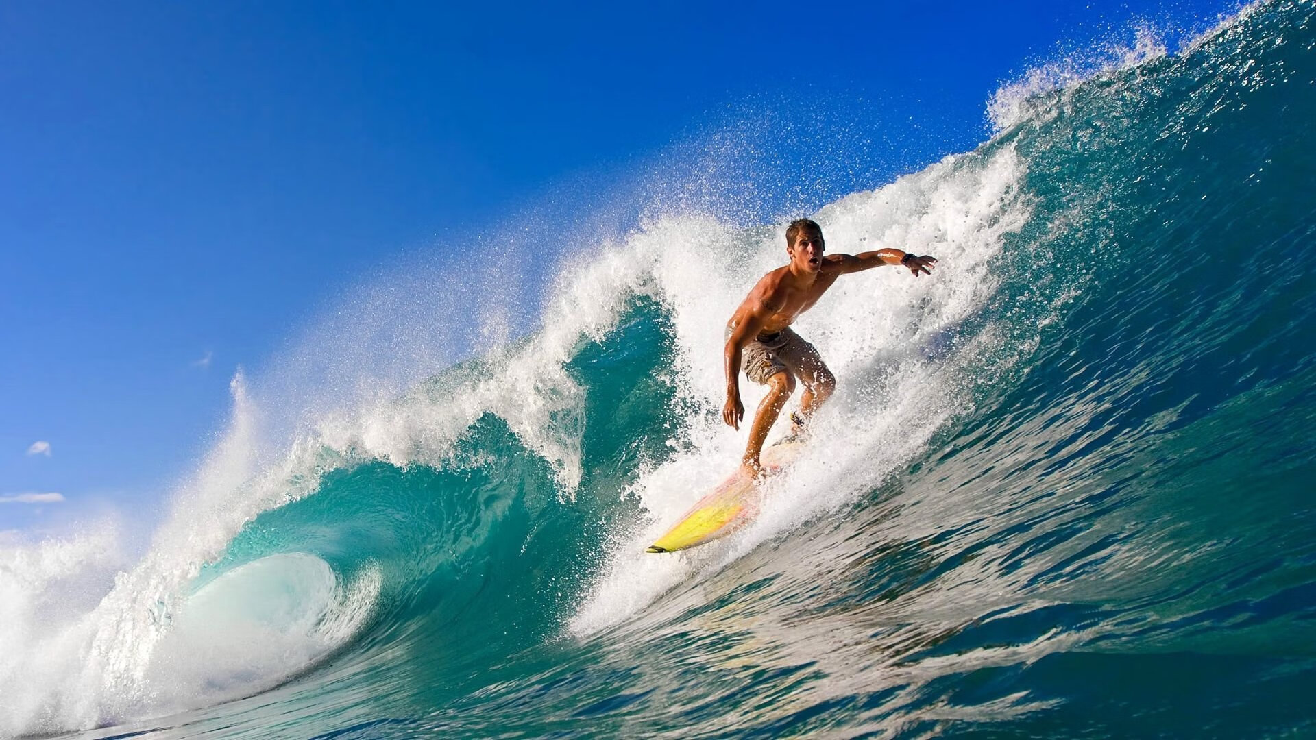 鹈鹕展翅碾压福建，王哲林惊艳四座书写本土传奇